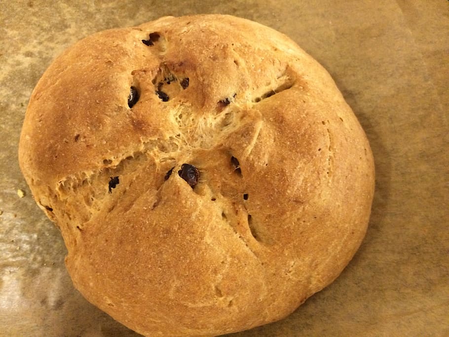 yeast bread, raisin bread, easter braid, even baked, homemade HD wallpaper