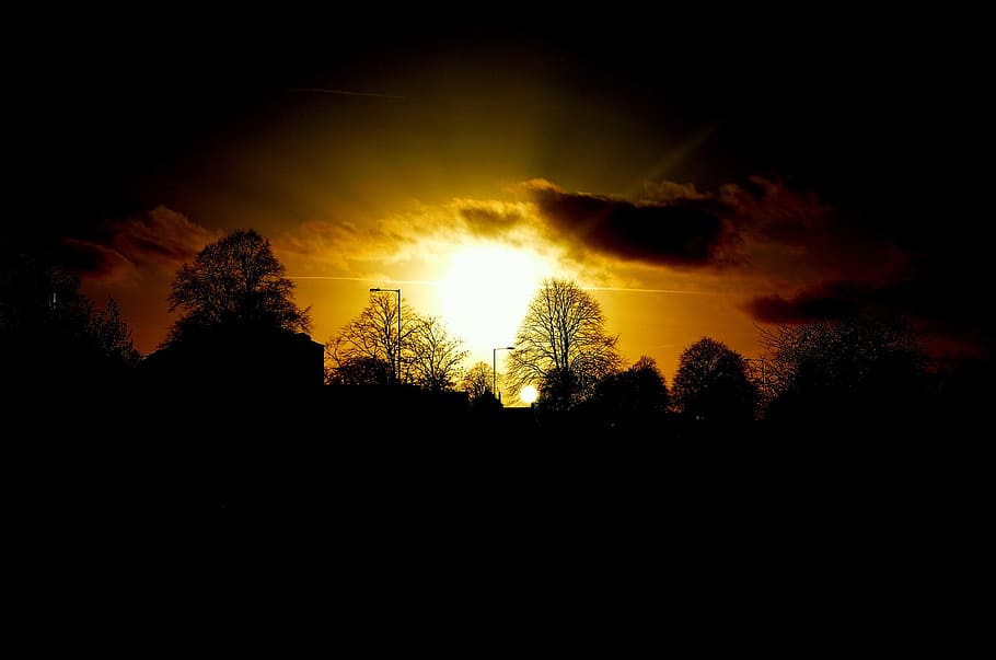 Evening, Nature, Sunset, Background, light effect, red, silhouette HD wallpaper