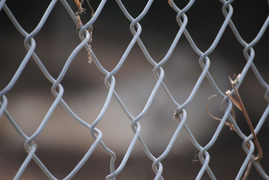 Fence, Iron, Macro, Zoo, chainlink fence, no people, protection HD wallpaper
