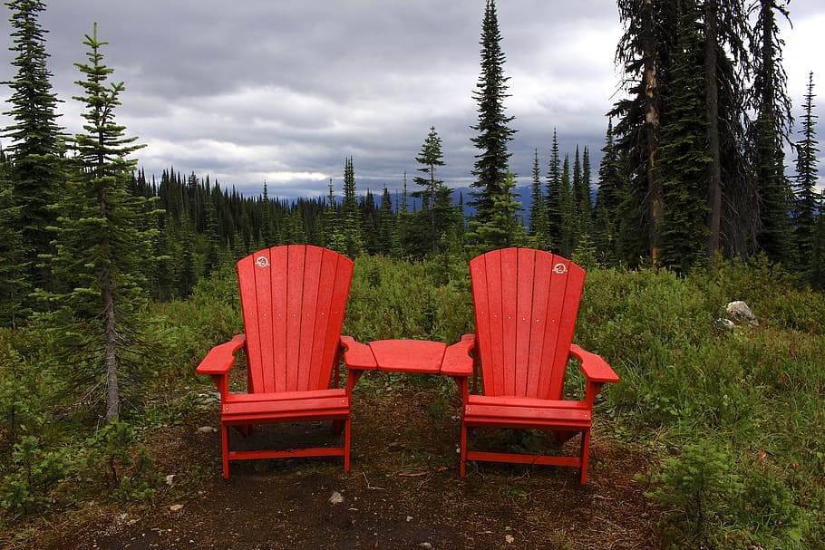Canada, Wilderness, Chairs, forest, nature, cloud - sky, pine tree HD wallpaper