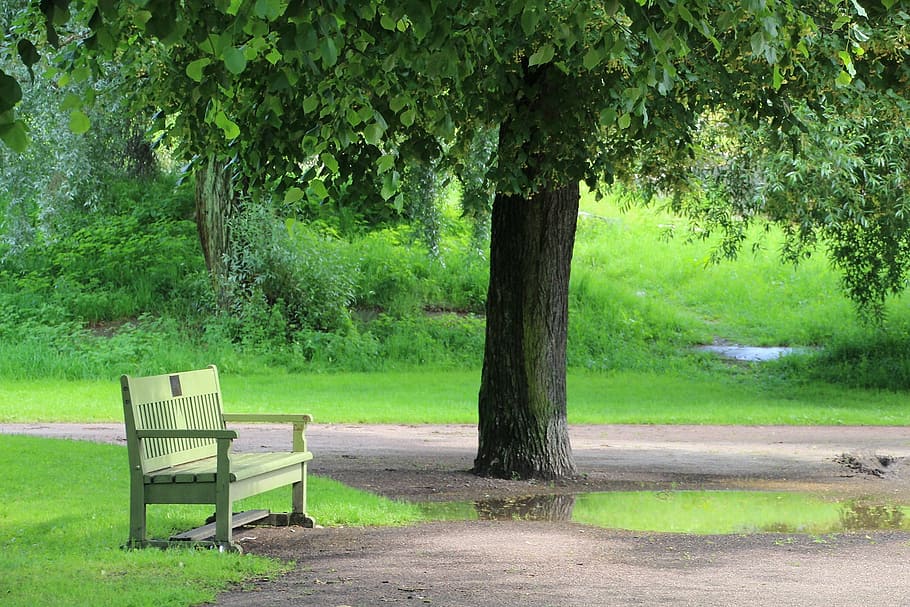 empty bench near tree, park bench, rest, trees, finland, helsinki HD wallpaper