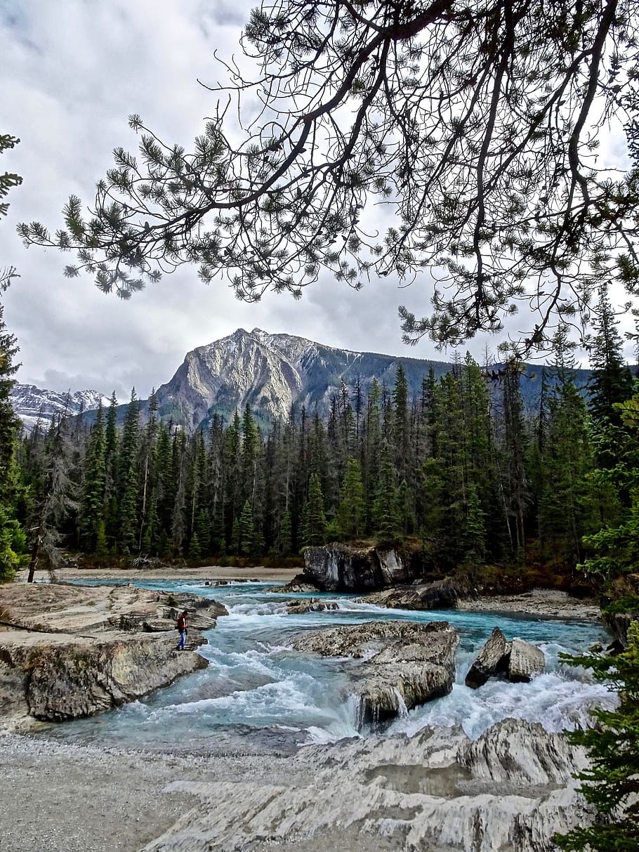 Rapids, Waterfall, Cascades, Scenery, environment, mountain HD wallpaper