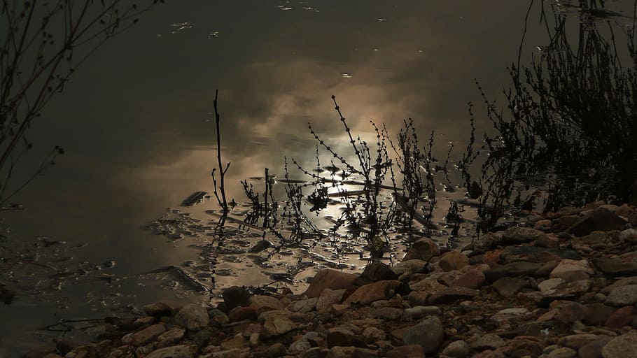 \, river, water, moon, night, moonlight, calm, dark, darkness HD wallpaper