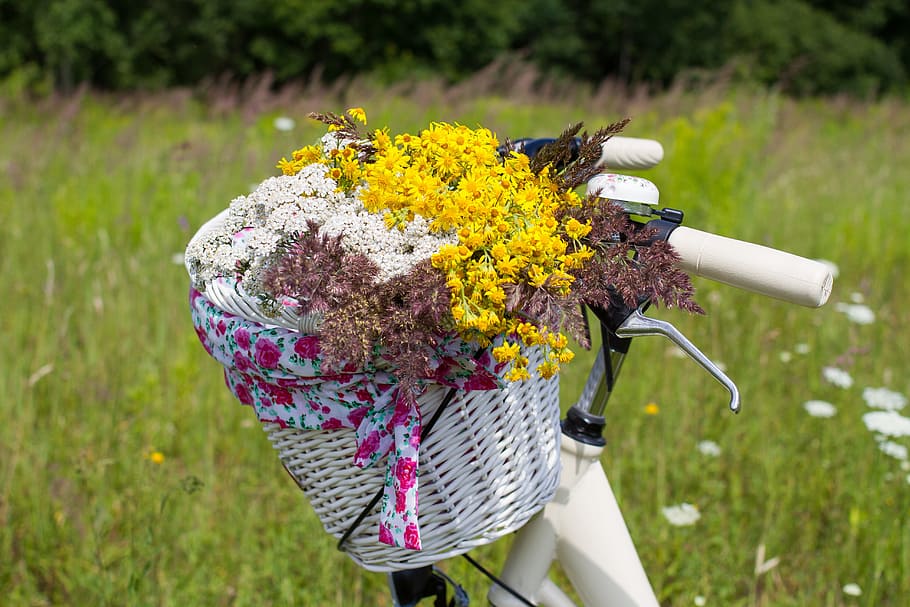 bicycle, summer, basket, ride, ladies cycle, bike, park, biking HD wallpaper