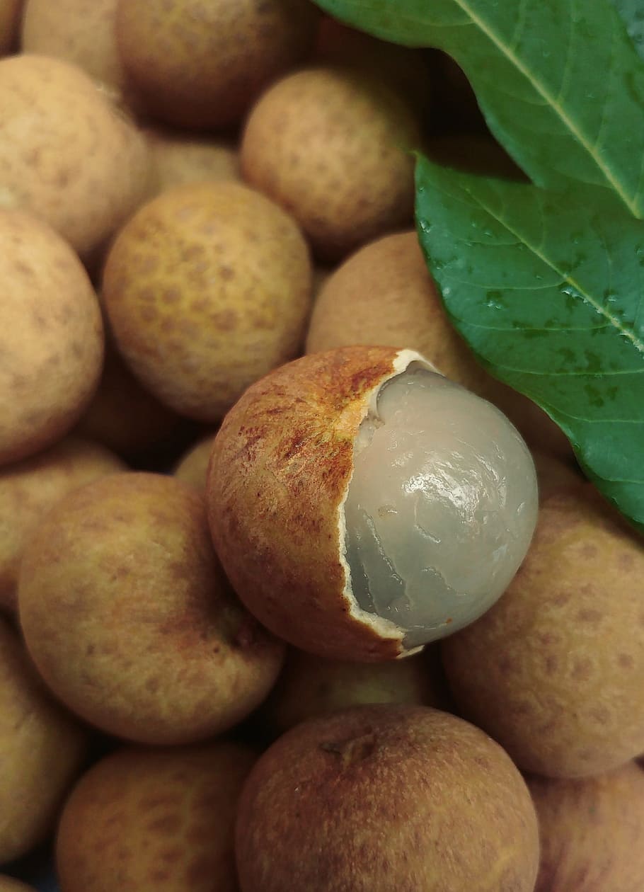 lychee, fruit, fresh, crop, sweet, food and drink, freshness HD wallpaper