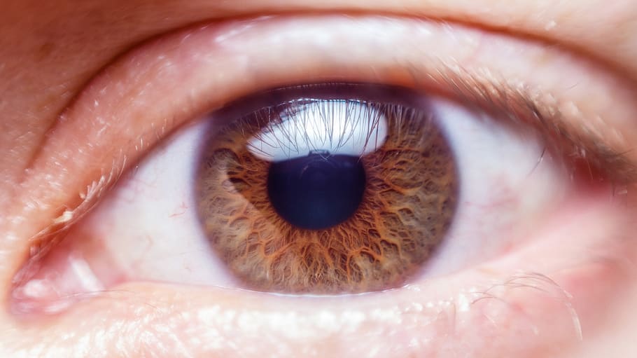 eye, macro, face, young, human, eyeball, pupil, eyelashes, vision HD wallpaper