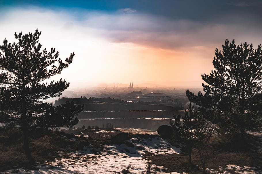 Sunrise over foggy ratisbon, silhouette of tree during dawn, city HD wallpaper