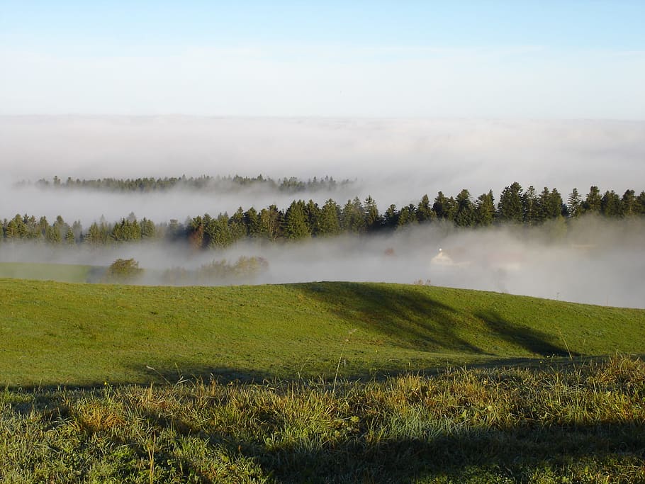 Fog, Ridge, Mountain, Meadow, Haze, sea of fog, nature, landscape HD wallpaper