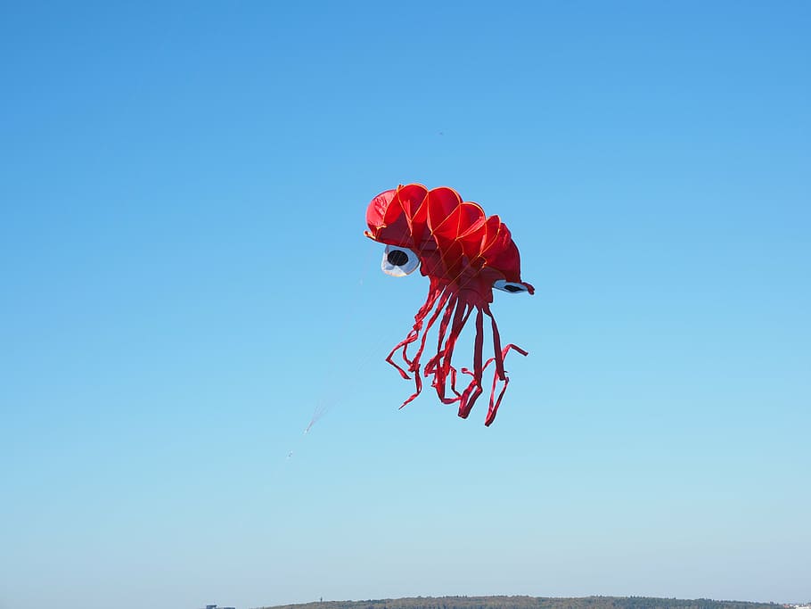 dragons, octopus, squid, red, kite flying, autumn, sky, blue HD wallpaper