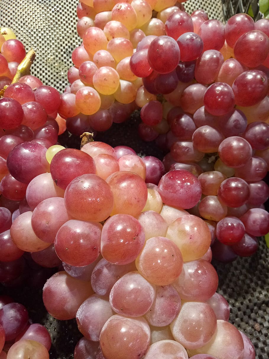 grape, fruit, summer, food and drink, healthy eating, freshness HD wallpaper