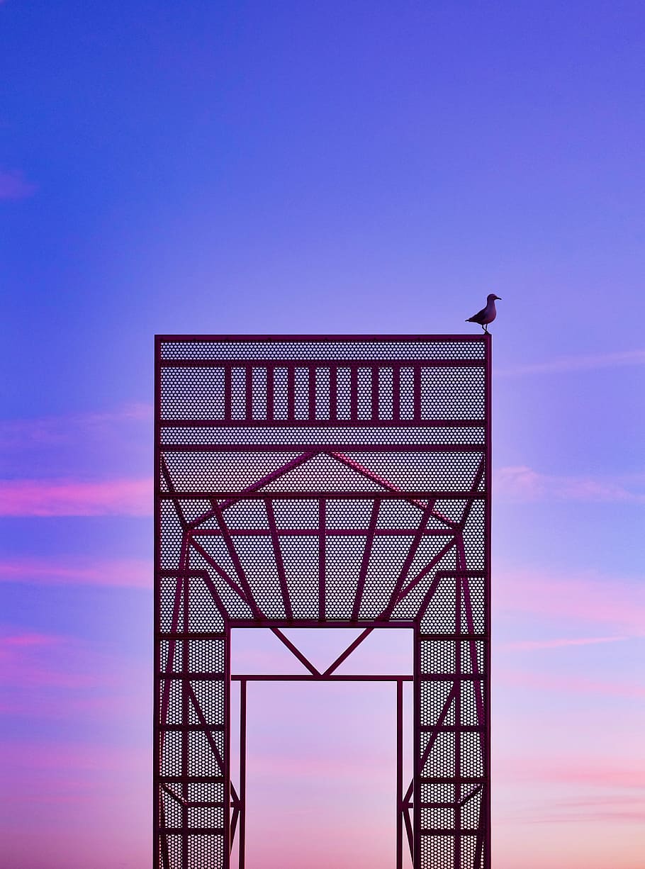 black bird on top of red steel structure, brown bird on top of red metal arch HD wallpaper