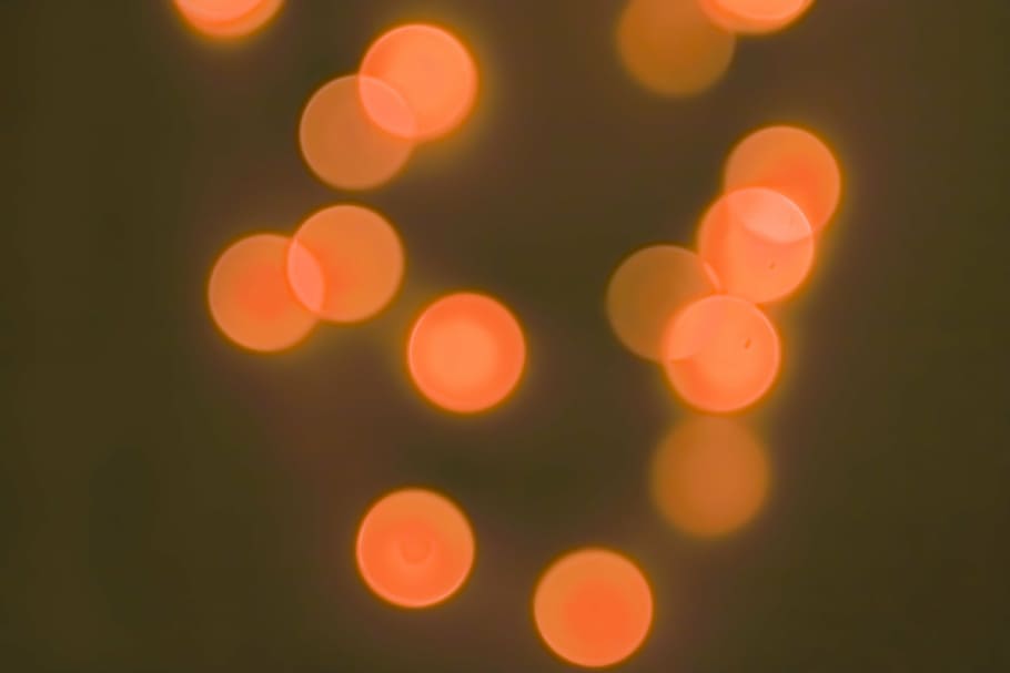 bokeh, background, circle, light, background image, atmosphere HD wallpaper