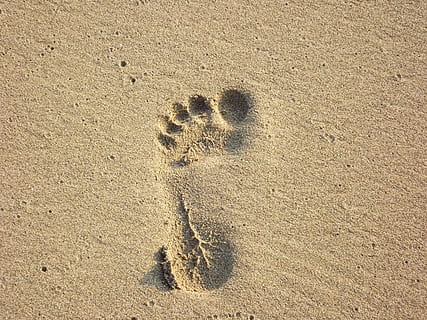 HD wallpaper: human soil foot print, footprint, sand, beach, barefoot ...