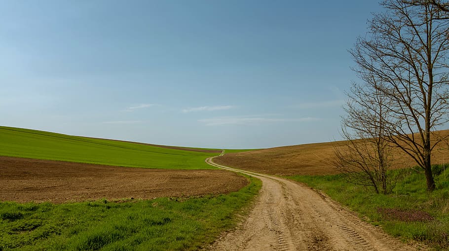 pathway in the middle of green plains, field, fields, lane HD wallpaper
