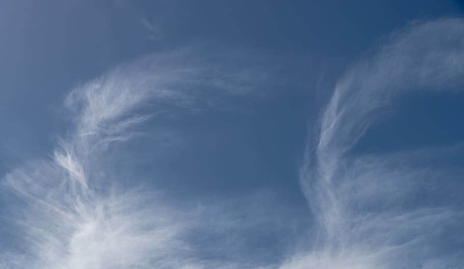 clouds, white, blue, fluffy, delicate, cloudscape, weather HD wallpaper