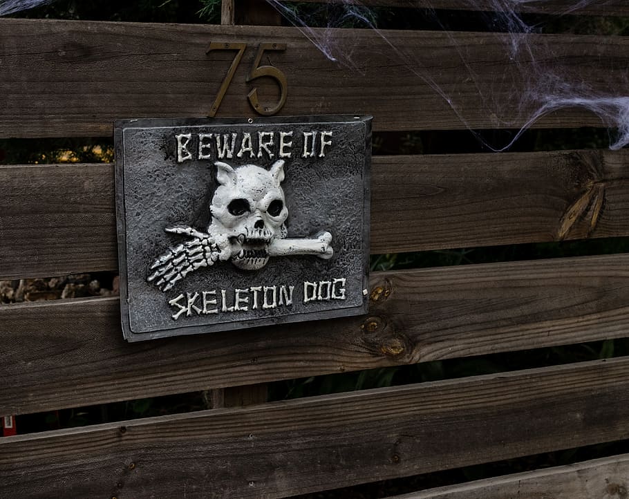 halloween, skull, bones, beware, holiday, occasion, spooky HD wallpaper