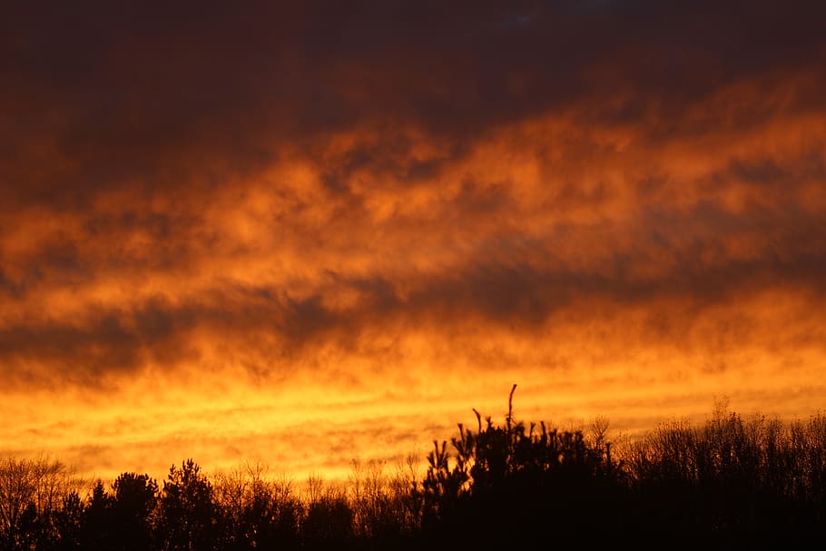 sunset, pink, yellow, clouds, cloudscape, trees, nature, landscape HD wallpaper