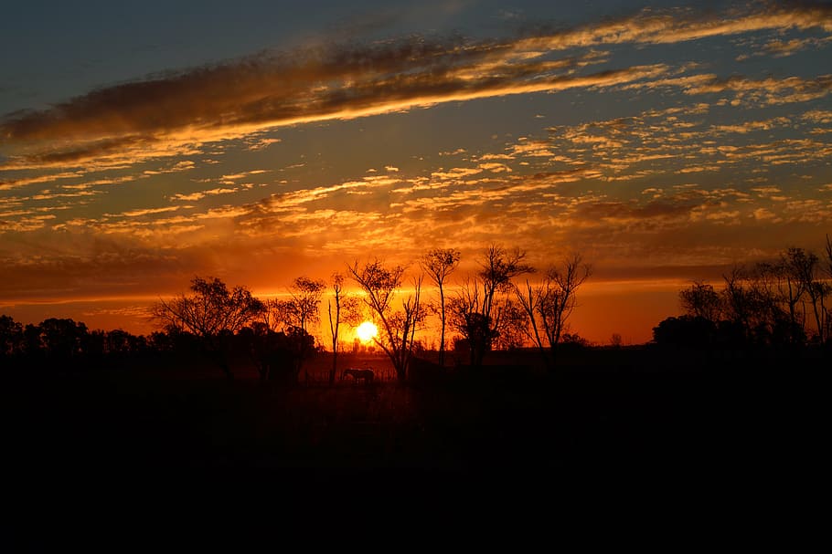 landscape, field, sky, sunset, nature, clouds, dusk, silhouette HD wallpaper