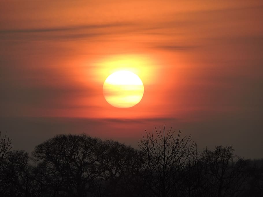 Sunset, Nature, Yellow, sky, light, evening, landscape, orange HD wallpaper