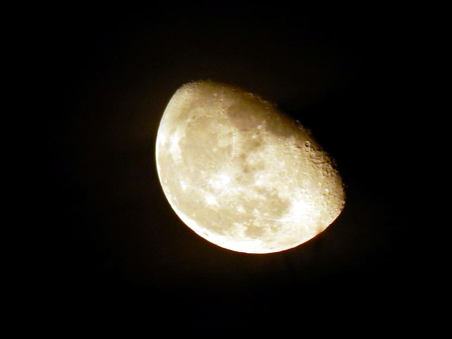 Moon, Luna, Night, Astronomy, sky, harvest moon, space, nature HD wallpaper