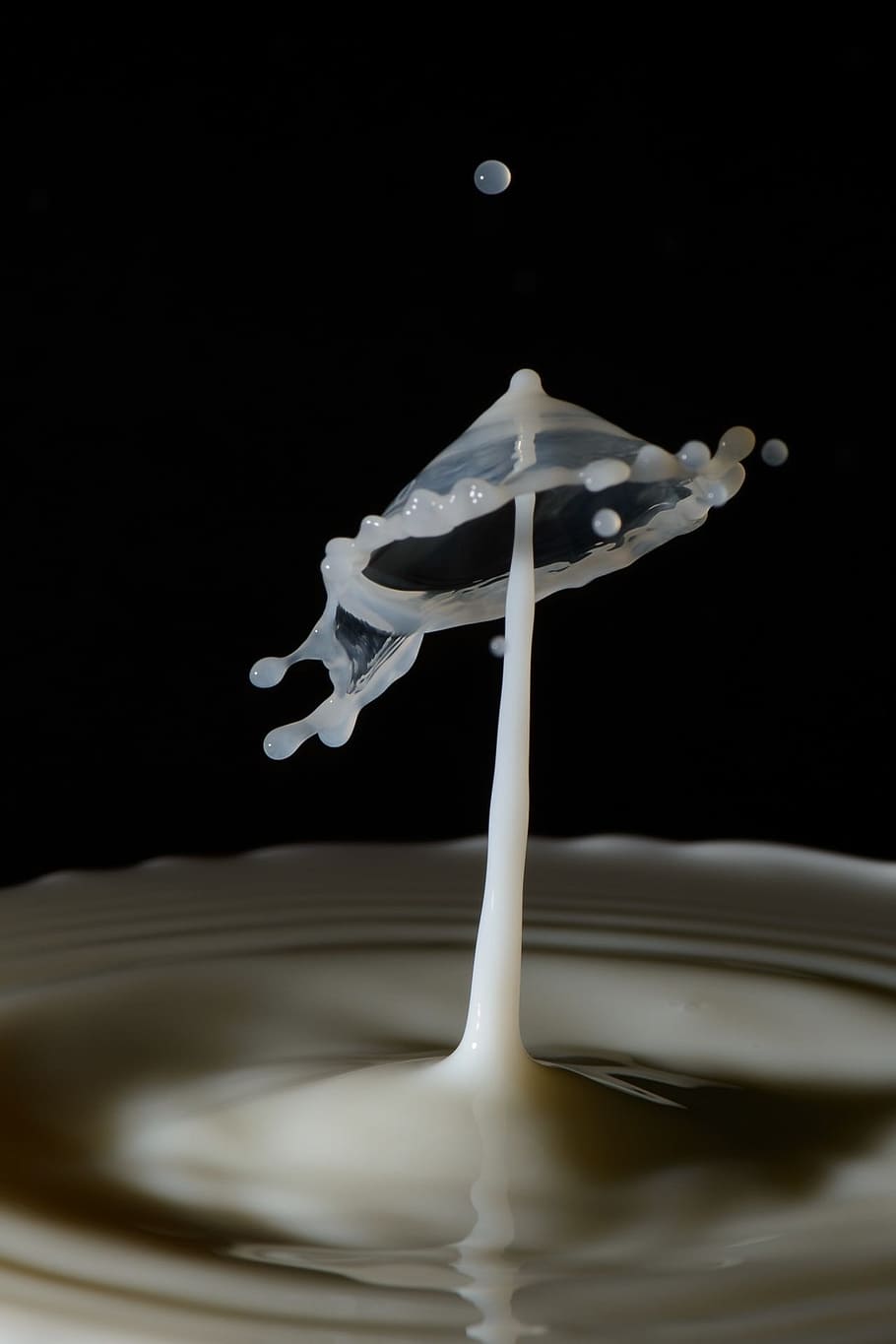 close up photo of beige liquid, Drop, Crown, Milk, Macro, Impact HD wallpaper