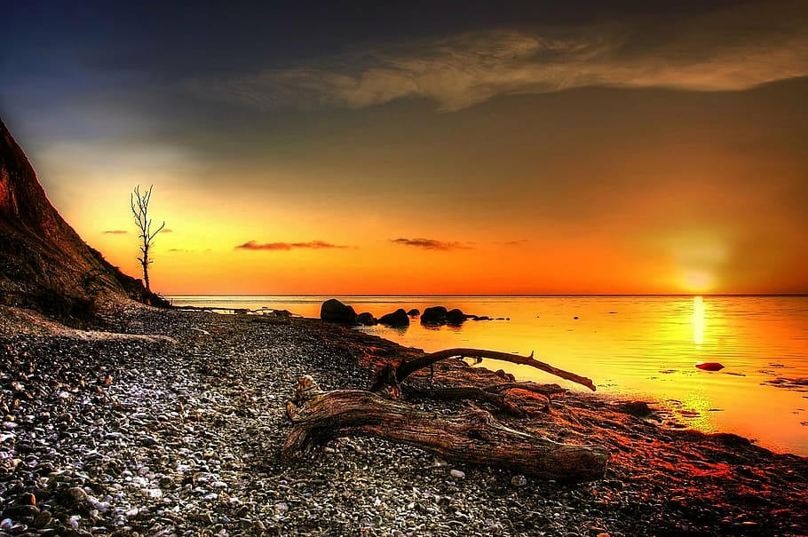 golden hour photo of seashore, món, island, white cliffs, denmark HD wallpaper