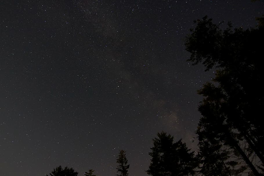 silhouette of trees, stars, night, universe, cosmos, sky, space
