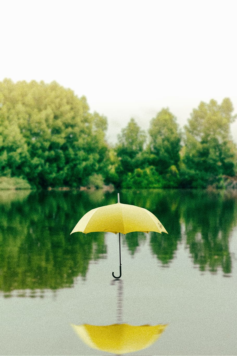 yellow umbrella on surface of water at daytime, yellow umbrella on water HD wallpaper