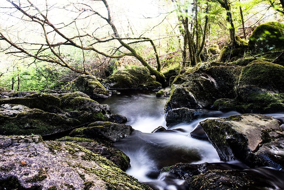 timelapse photography body of water near leafless trees, bach HD wallpaper