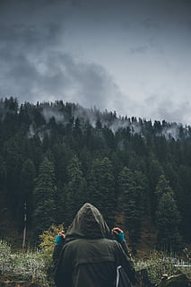person facing trees under gray clouds, person facing backwards at trees HD wallpaper