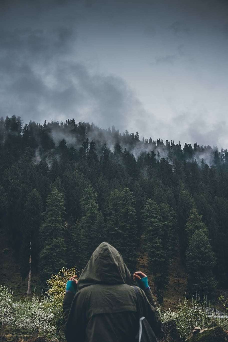 person facing trees under gray clouds, person facing backwards at trees HD wallpaper