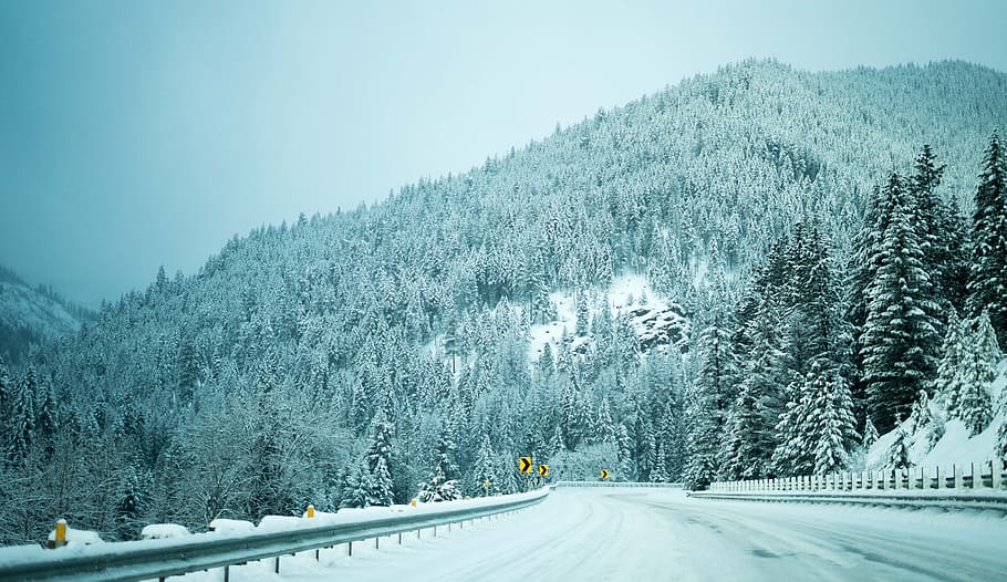 Snowy Morning, road in front glacier mountain, forest, lane, bend HD wallpaper
