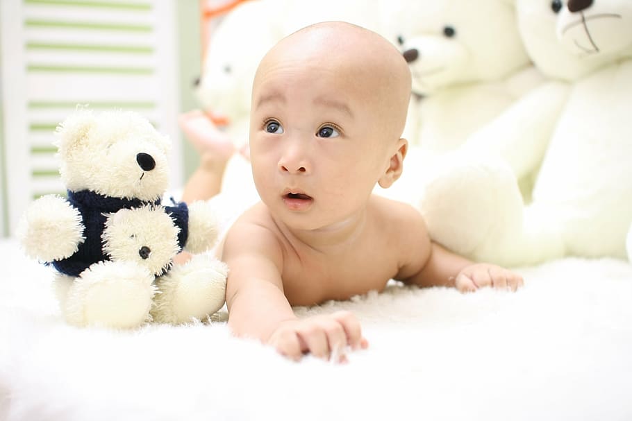 toddler near plush toy, baby, cute, child, lying, adorable, young, HD wallpaper