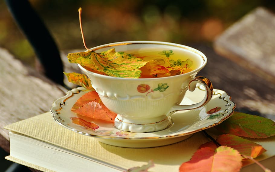 white ceramic cup, tee, teacup, autumn, autumn colours, fall leaves, HD wallpaper