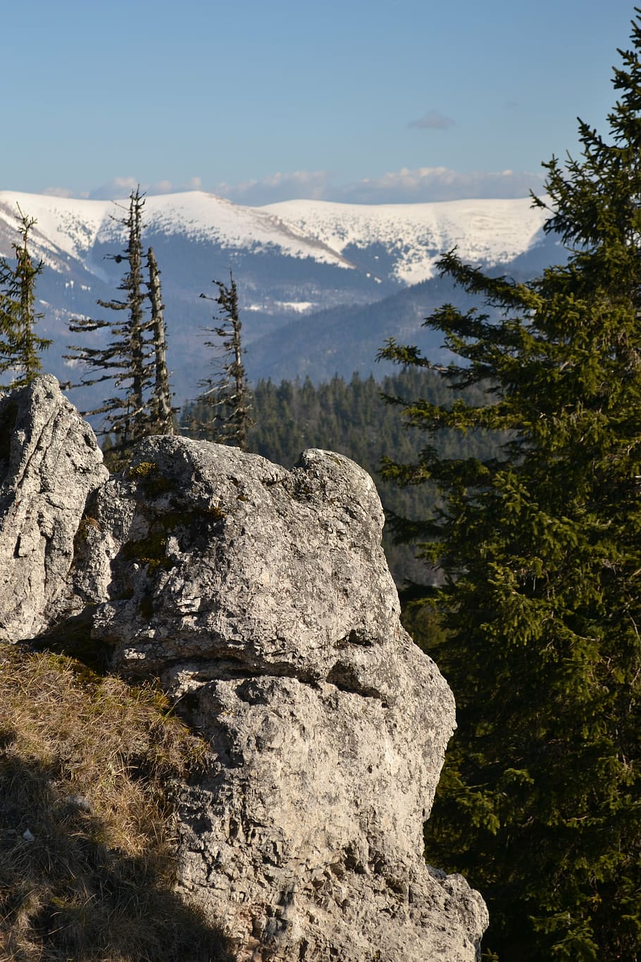 views, mountains, forest, rock, slovakia, nature, country, the sky HD wallpaper