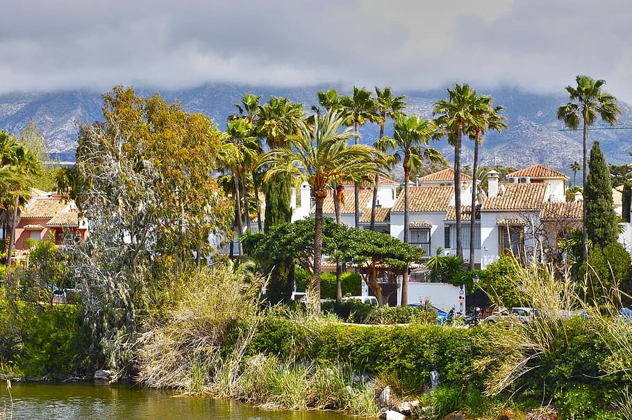 Palms, Trees, Landscape, Clouds, sky, winter, nature, house HD wallpaper