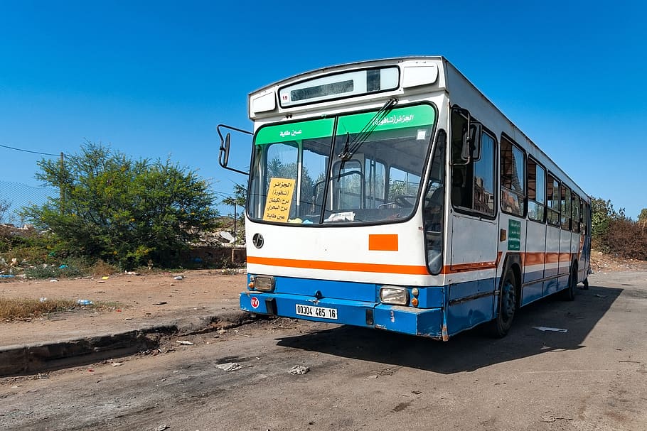 bus, algeria, sky, blue, summer, mediterranean, transportation HD wallpaper