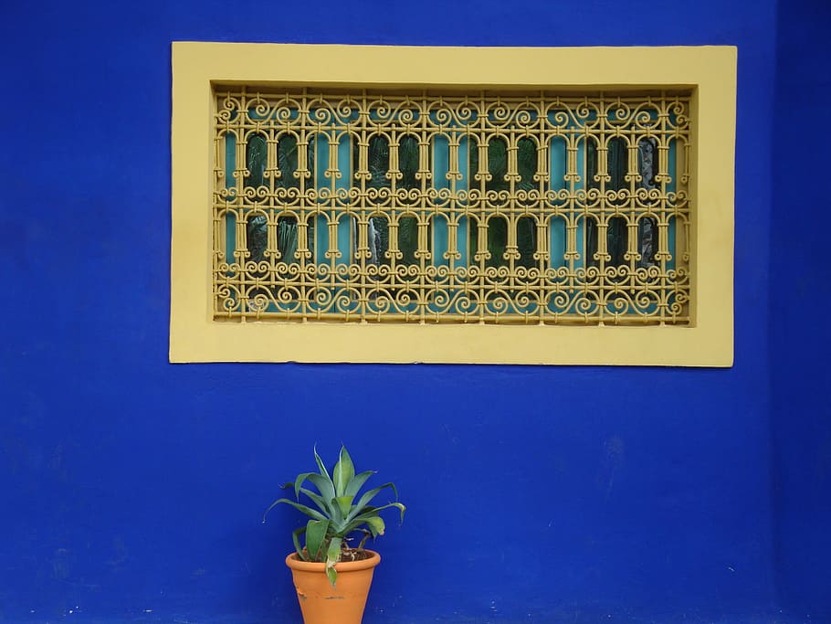 green leafed plant leaned on wall, Morocco, Arabic, marrakech HD wallpaper