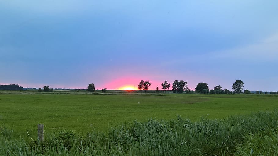 sunset, afterglow, nature, sky, grass, plant, environment, landscape HD wallpaper