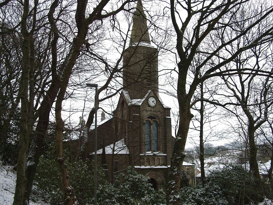 church, cold, winter, trees, scenery, snow, snowy, plant, low angle view HD wallpaper
