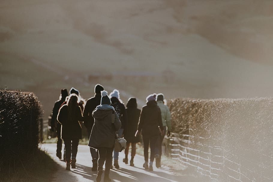 Group walking along a lane, people walk between plant wall during daytime HD wallpaper