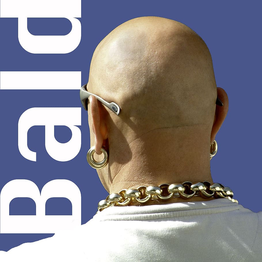 bald, man, macho, earring, gold, necklace, heavy, back, head HD wallpaper