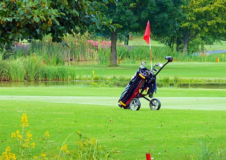 golf caddy, green, golf carts, sport, golfer, golf clubs, golfers HD wallpaper