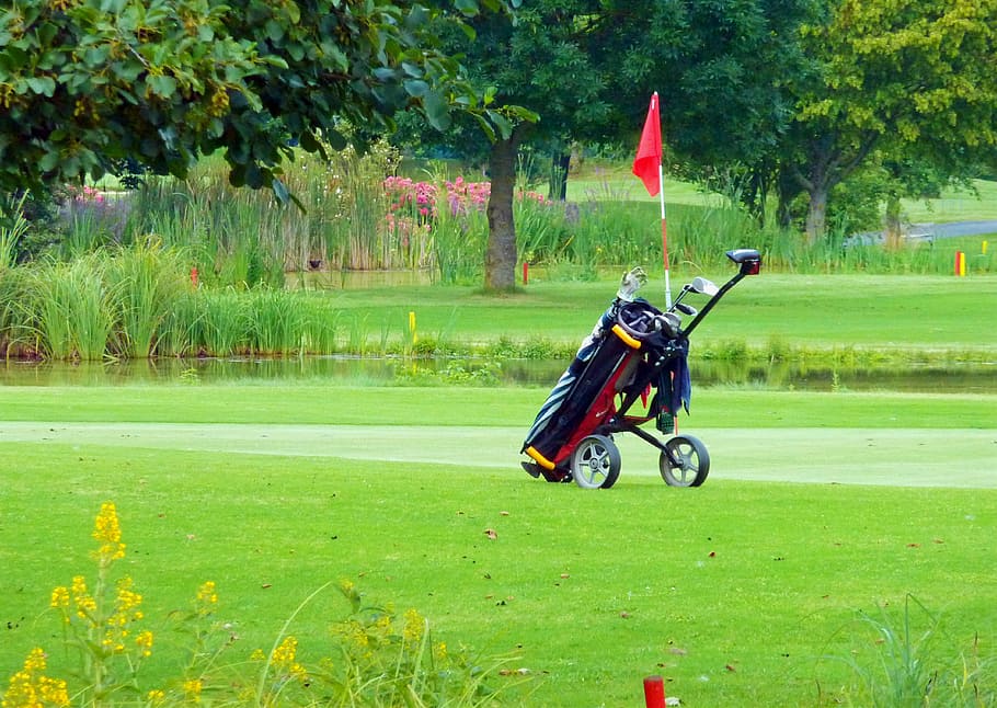 golf caddy, green, golf carts, sport, golfer, golf clubs, golfers HD wallpaper