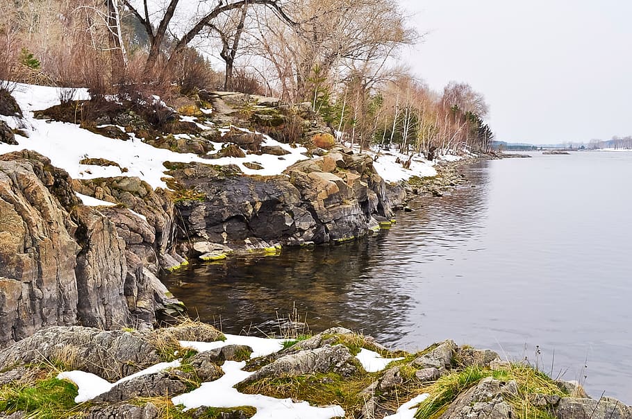 rock, beach, river, snow, nature, landscape, water, tree, plant HD wallpaper