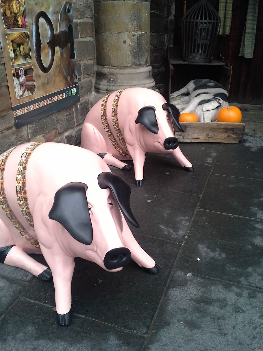 pig, statue, halloween, shoe, people, women, representation HD wallpaper