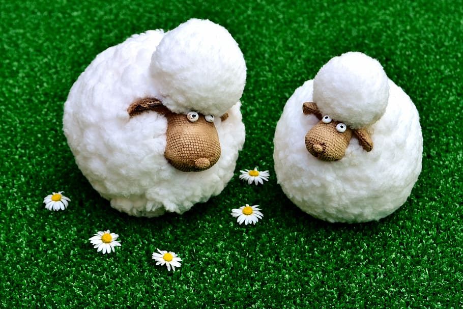 sheep, figures, funny, meadow, daisy, deco, decoration, cute HD wallpaper