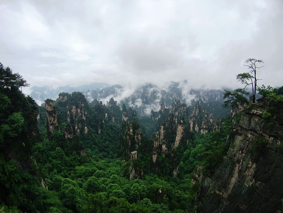 top view of forest and mountains, aerial photo of mountains, cloudy HD wallpaper