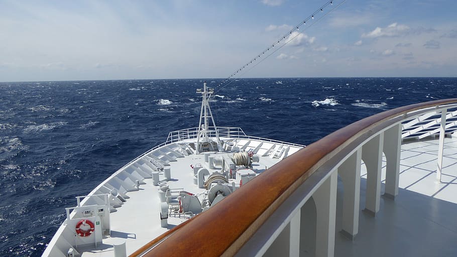 Bug, Cruise Ship, Ms Hamburg, sea, horizon over water, day HD wallpaper