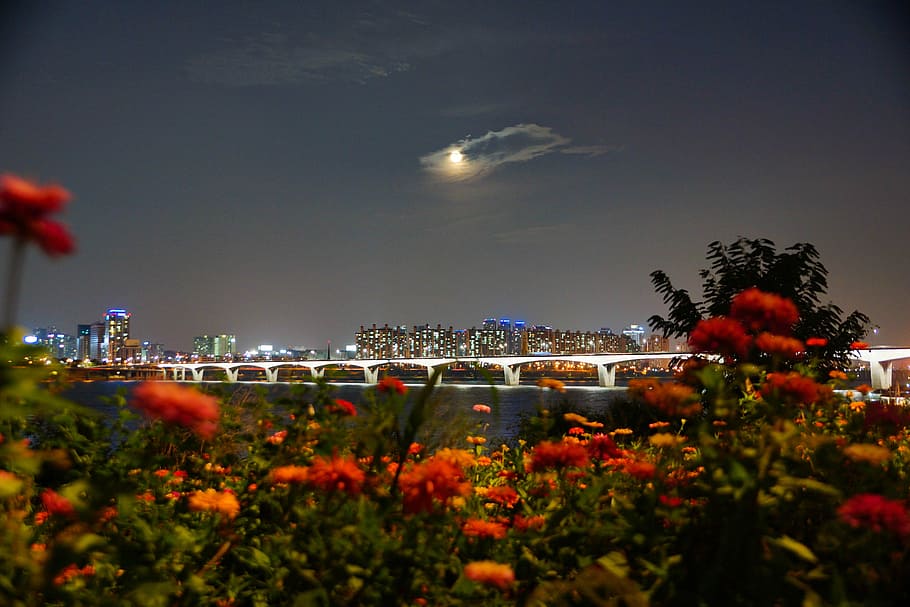 Han River 1080P, 2K, 4K, 5K HD wallpapers free download | Wallpaper Flare